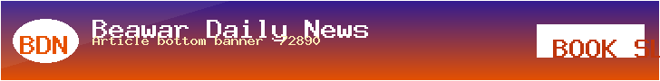 BDN Demo · Article bottom banner (728×90)